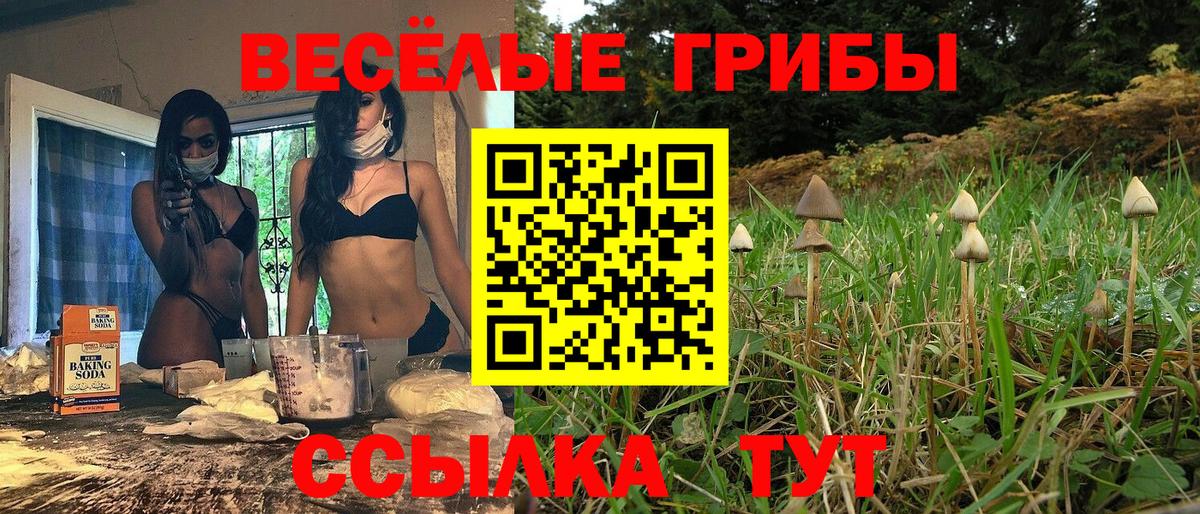 Семёнов  Псилоцибиновые грибы GOLDEN TEACHER  где найти наркотики  Вход с VPN 