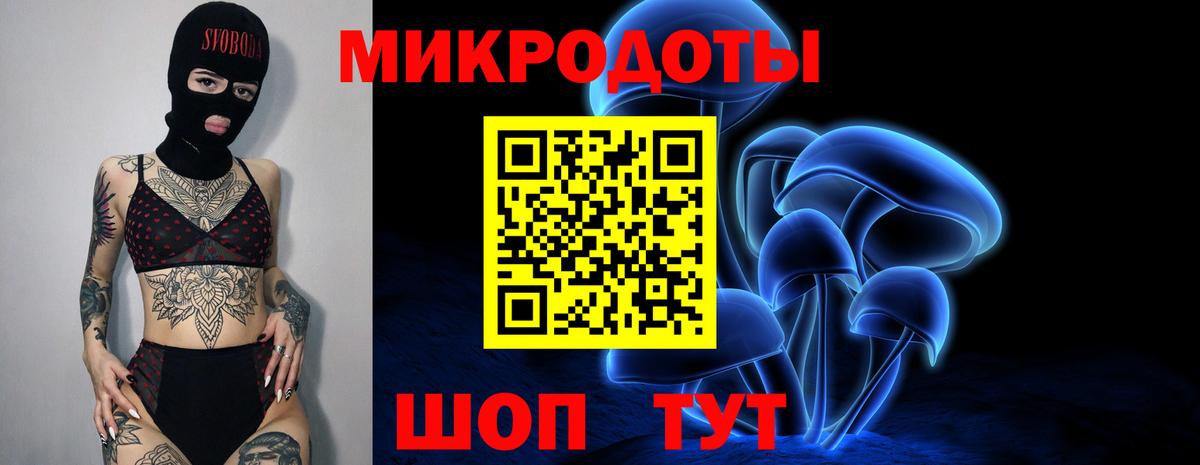 Галлюциногенные грибы Psilocybe Семёнов